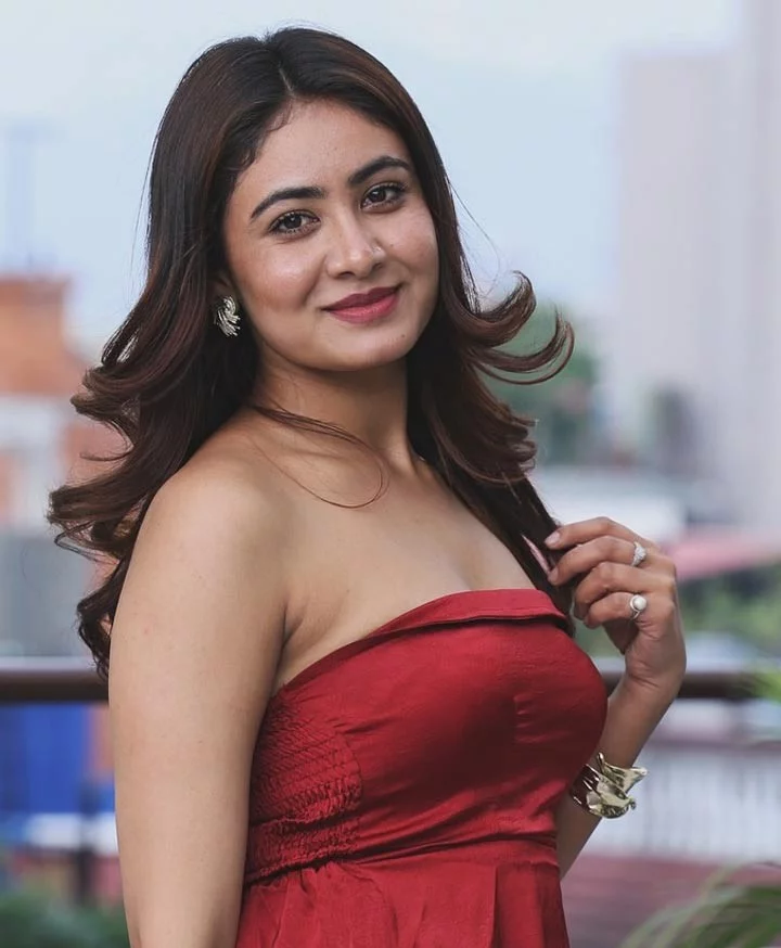 Pabitra Shanki