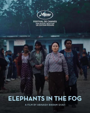 Elephants in the Fog
